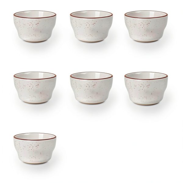 IRESTAURANT PLUS Stoneware Dinner Plate-2