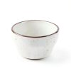 IRESTAURANT PLUS Stoneware Dinner Plate-3