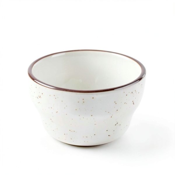 IRESTAURANT PLUS Stoneware Dinner Plate-3