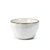 IRESTAURANT PLUS Stoneware Dinner Plate-1