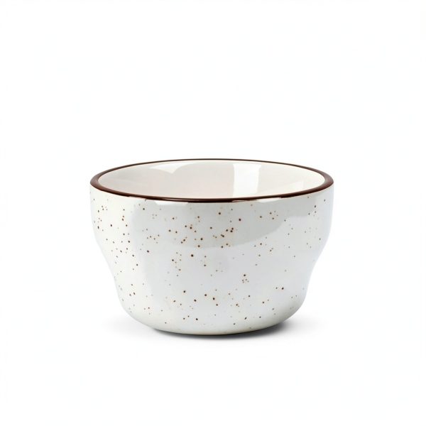 IRESTAURANT PLUS Stoneware Dinner Plate-1